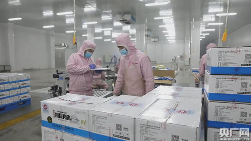 墨玉县现代农业产业园 为乡村振兴注入新动能