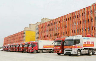 中原四季农产品物流港盛大开业，士凯物流赋能区域经济新动脉