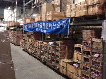 欧洲直发包税出口 一线电子产品物流解决方案